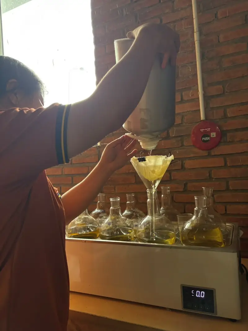 A lab technician filtering sandalwood oil