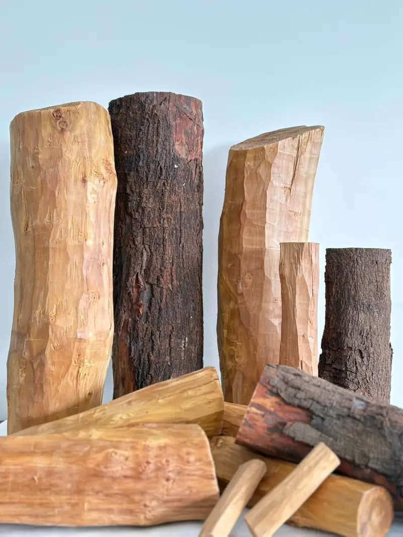 Sandalwood logs with bark beside desapped heartwood